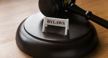 Laws vs. Bylaws