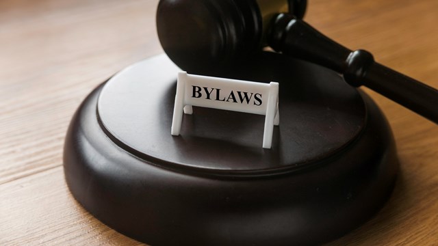 Laws vs. Bylaws
