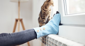 Woman's feet with woolen socks, domestic cat, enjoying inside home on the radiator.