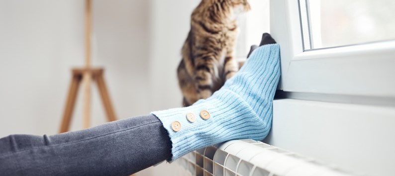 Woman's feet with woolen socks, domestic cat, enjoying inside home on the radiator.