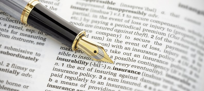 Fountain pen pointing to the word 'insurance' on the page of a generic dictionary.