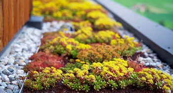Smarter, Greener Landscaping Sankt Jakob im Ahrntal South Tyrol Hotel Stoana rooftop