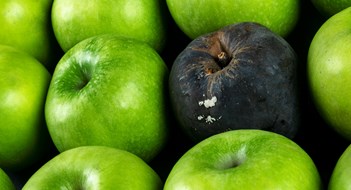 Handling ‘Bad’ Board Members Rotten apple and fresh apple. The Corruption concept. The concept of bad people in society. Rotten apple surrounded by fresh.