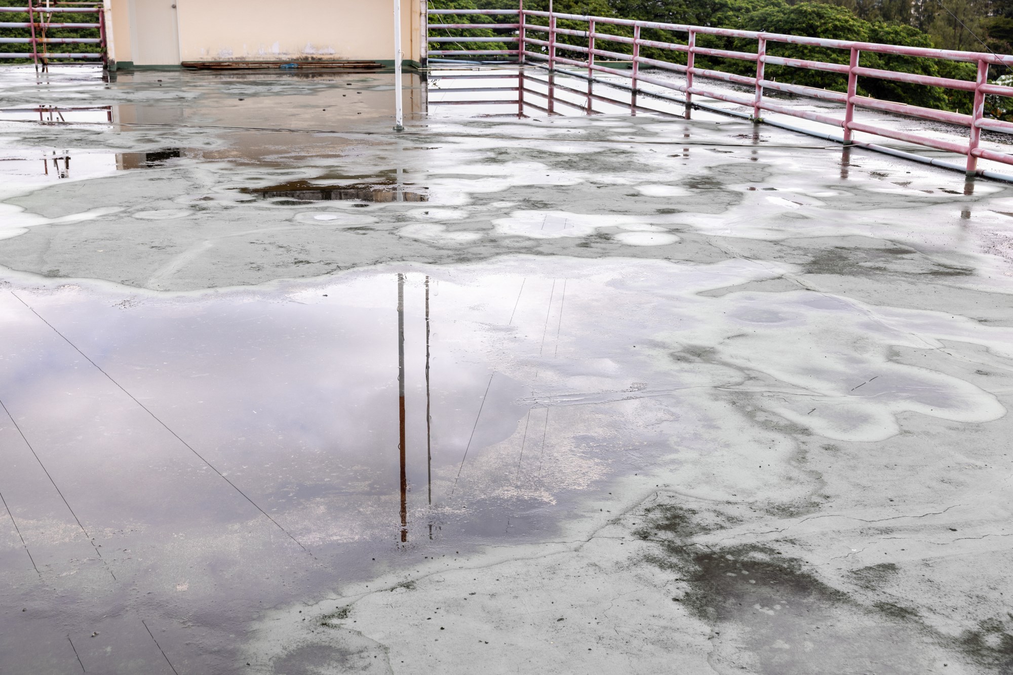 Old flat roof is ponding water and leakage after rain. Blistering flat roof.