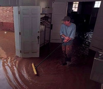 What Is Water Damage?