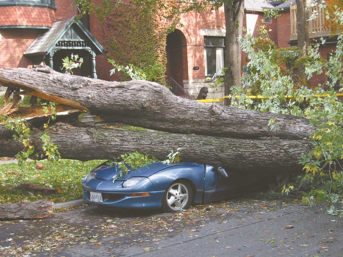 Insuring Home and Hearth