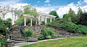 Botanic Garden Branches Out Botanic Garden Branches Out