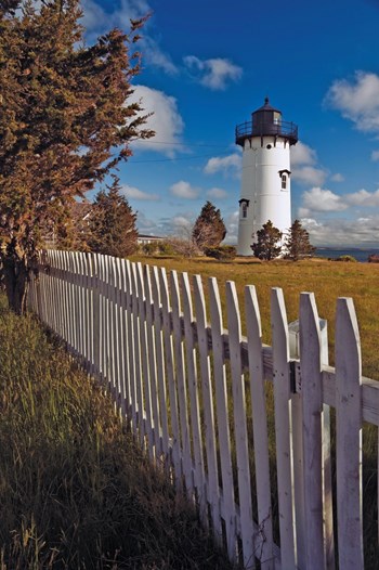 Variety is Spice of Life in Oak Bluffs