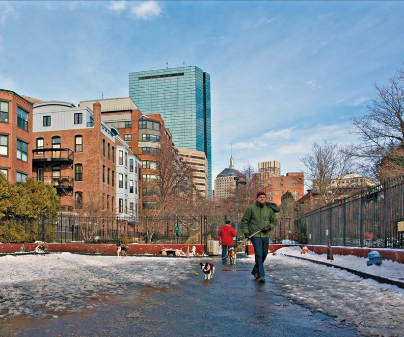 Condos Loosen Up on Dog Prohibitions Pets Allowed! New England