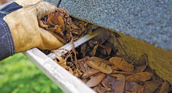 Go With Your Gutter Go With Your Gutter