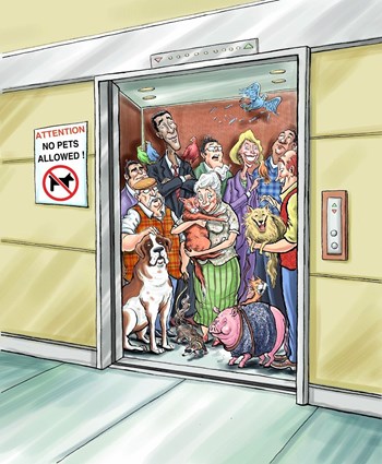 hoa violations cartoons