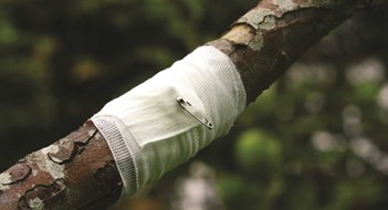 Treating Trees Treating Trees