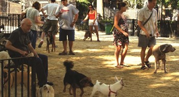 Catering to Man's Best Friend Catering to Man's Best Friend