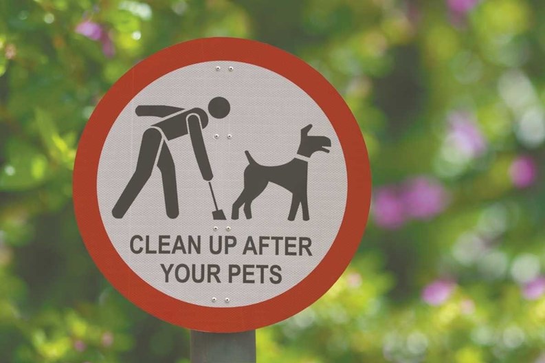 Can dog owners be evicted for not supplying dog poop samples?