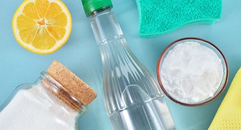 Green Cleaning Green Cleaning